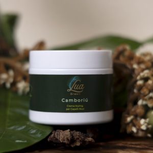 Camboriú